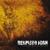 Warm Blooded - Despised Icon