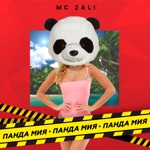 Обложка трека Панда Мия (Remix)