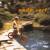 Tree House - Nada Surf