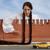 Скинь котиков - Mirèle