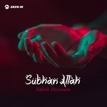 Обложка трека Ya Nabi Salam Alayka