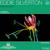 So Many Times - Eddie Silverton