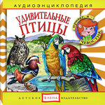 Обложка трека Утки-мандаринки