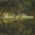 The First Song - Band of Horses