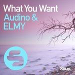 Обложка трека What You Want