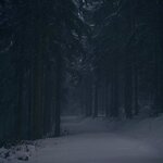 Обложка трека Зима