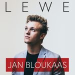 Обложка трека Steek Weg Julle Dogters
