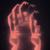 Burning Thyme - Gost