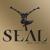 Crazy - Seal