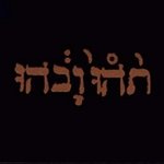 Обложка трека Moya