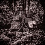 Обложка трека Truth