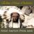 Dream and Relax - Ethno Music Orchestra