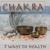 Root Chakra Meditation - Pilates Music Ensemble