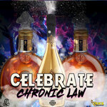 Обложка трека Celebrate