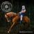 Wishmaster - Steve 'n' Seagulls