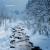 Silent Night Blue - Jesse Brown