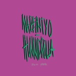 Обложка трека hunnid dolla