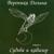 Карманы - Вероника Долина