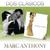 Este Loco Que Te Mira - Marc Anthony