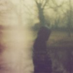 Обложка трека A Cold Day