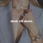 Обложка трека dusk till dawn slowed down