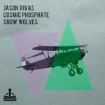 Обложка трека Snow Wolves