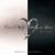 Can't Help Falling In Love - Tommee Profitt