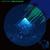 Electric Eel Enterprises - Ambidextrous