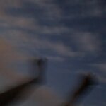 Обложка трека Однажды