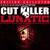 Check le micro - DJ Cut Killer