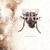 L1FEl1KE - Karnivool