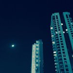 Обложка трека Worth None