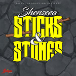 Обложка трека Sticks & Stones