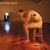 Love Has a Diameter - Biffy Clyro