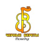 Обложка трека Разведка