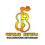 Обложка трека Российским летчикам