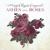 Soul Companion - Mary Chapin Carpenter