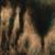Paradise Lost - William Basinski