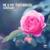 Living For The Moment (Croatia Squad Radio Mix) - Me & My Toothbrush
