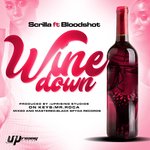 Обложка трека Wine Down