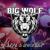 Walk in My Shoes - Big Wolf Band