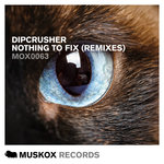Обложка трека Nothing To Fix