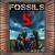 Palao - Fossils