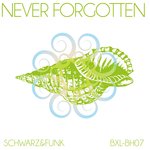Обложка трека Never Forgotten