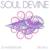 Soul Devine - Schwarz & Funk