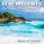 Above the Clouds - Sync Diversity