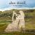 Pop Plinn - Alan Stivell