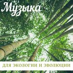 Обложка трека В деревне