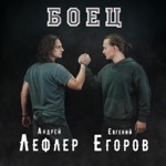 Обложка трека Боец