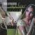 Hum Tum (from "Hum Tum") - Global Sitar Ensemble